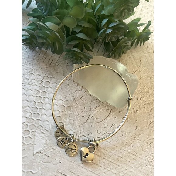 Alex and Ani Silver Heart Locket Bracelet - Picture 2 of 7